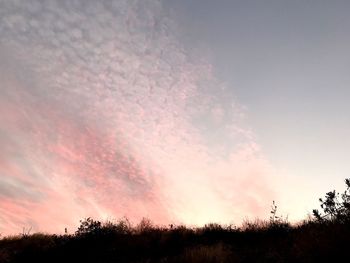 Silhouette trees on field against sky at sunset