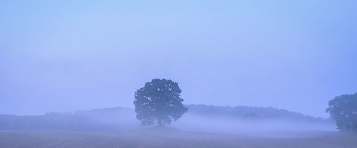 Trees on field against clear blue sky