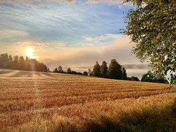 Scenic view of field against sky during sunset