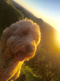 Scenic view of sky at sunset