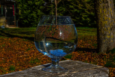 Close-up of glass on table against trees in park
