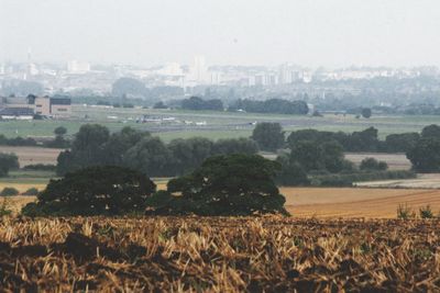 Scenic view of rural landscape