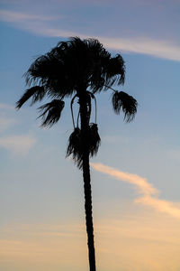 Low angle view of silhouette tree against sky at sunset
