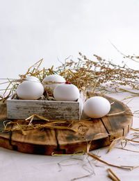Close-up of eggs in nest on table
