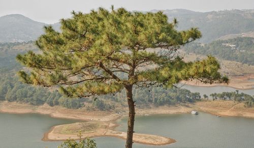 Scenic view of lake by tree mountain