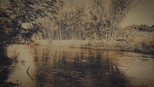 Scenic view of lake against sky