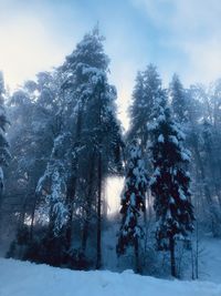 snow