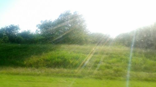 Scenic view of grassy field against sky