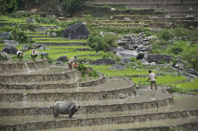 Tourists at railroad station