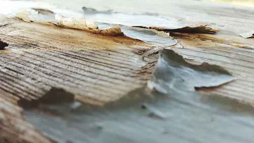 Close-up of wood on table