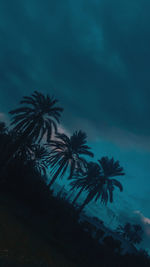 Low angle view of palm trees against sky at night