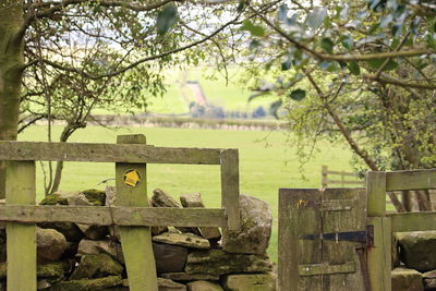 Close-up of wooden fence