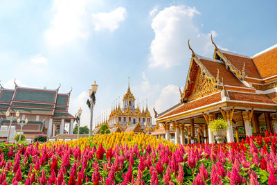 Panoramic view of flowering plants against sky