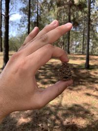 Midsection of person holding hands in forest