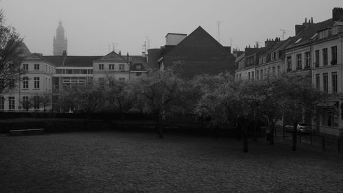 Trees in city against clear sky