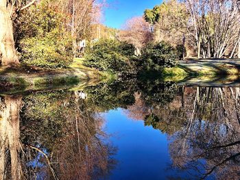 Reflection of trees in lake against sky