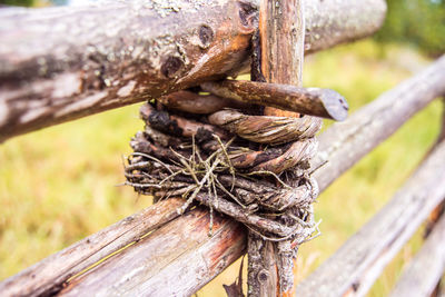 Close-up of rope tied on wooden post