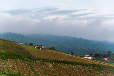 Scenic view of agricultural field against sky