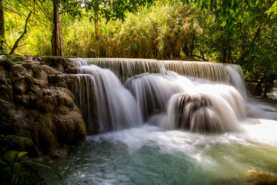 Scenic view of waterfall in forest