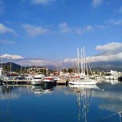 Sailboats moored at harbor