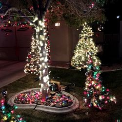 Illuminated christmas tree at night