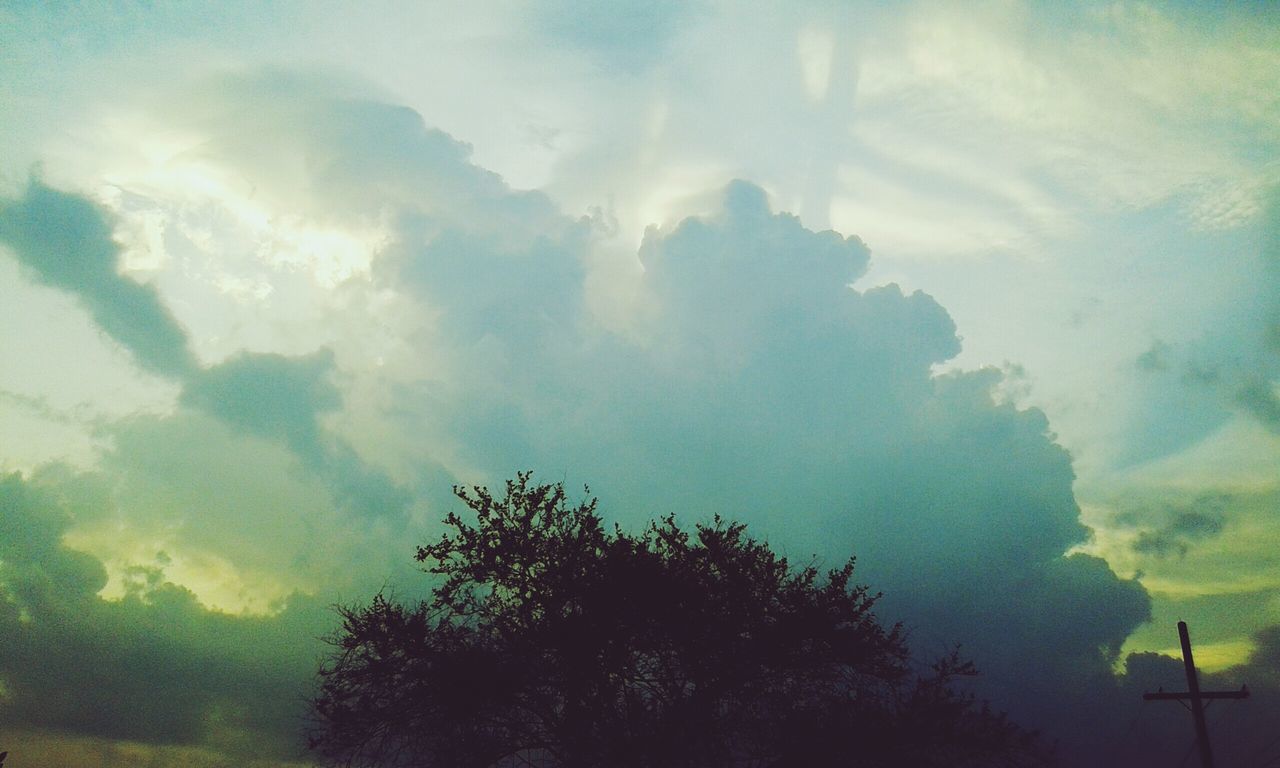 sky, low angle view, tree, cloud - sky, cloudy, beauty in nature, tranquility, nature, scenics, silhouette, cloud, tranquil scene, growth, weather, outdoors, idyllic, no people, high section, dusk, treetop