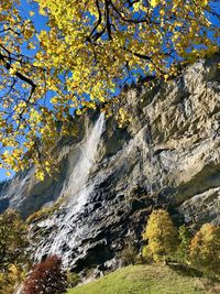 Scenic view of waterfall