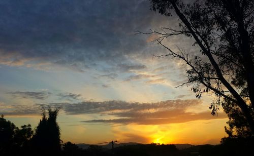 Silhouette of trees at sunset