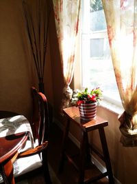 Potted plant on table