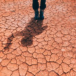 Low section of man standing on cobblestone