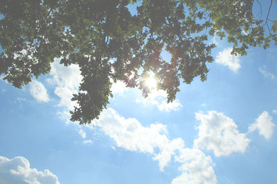 Low angle view of tree against sky