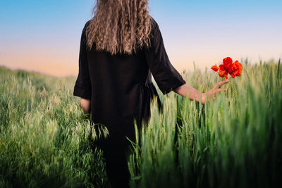 Rear view of woman standing by poppy field