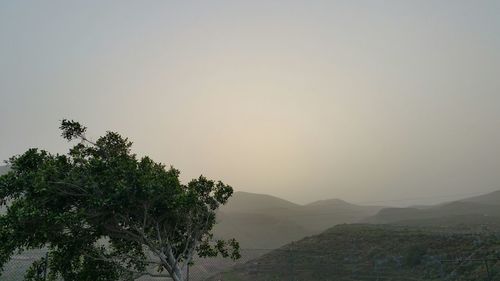 Scenic view of tree mountain against sky during sunset