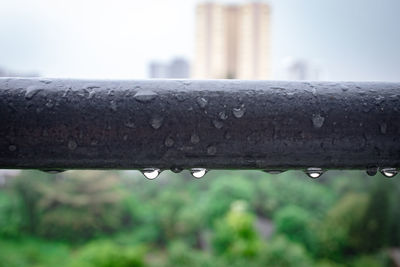 Close-up of wet metal railing during rainy season