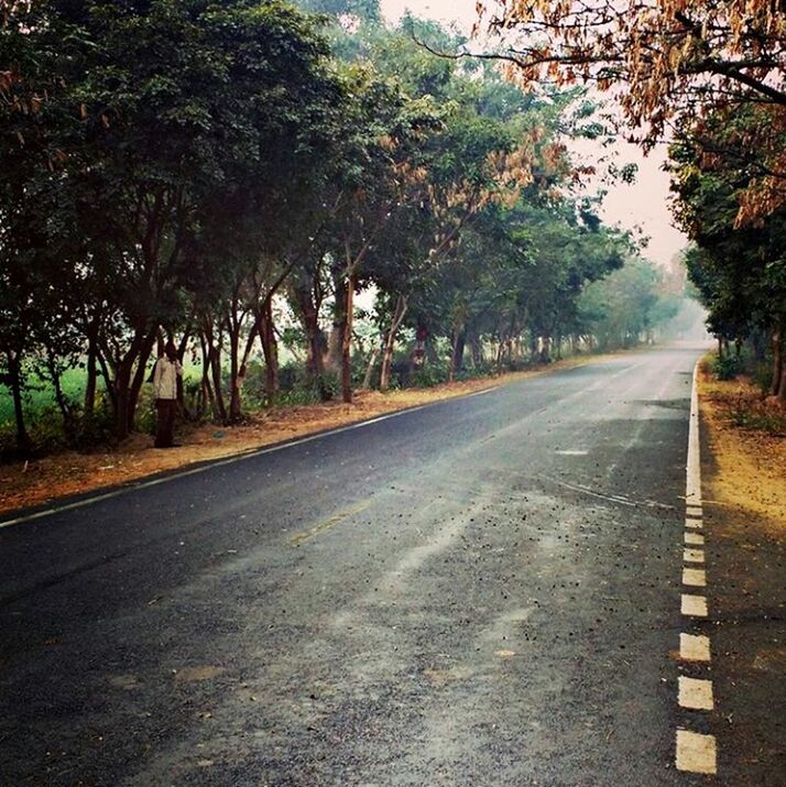 EMPTY ROAD AGAINST TREES