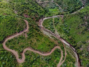 High angle view of road amidst trees in forest