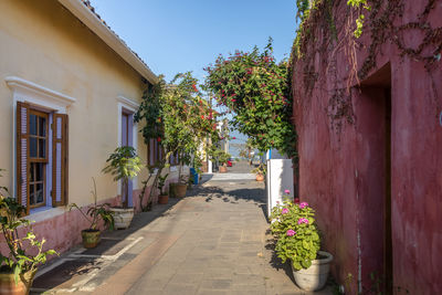 Footpath amidst buildings in town