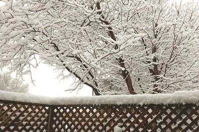 Close-up of chainlink fence against sky