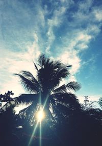Low angle view of silhouette palm trees against sky