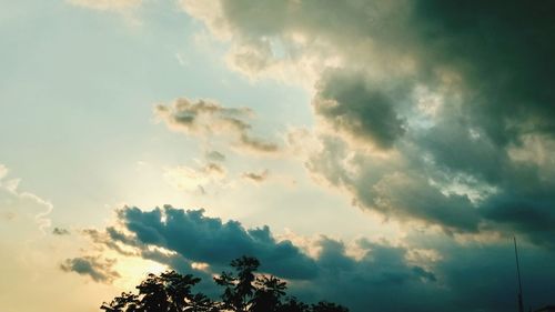 Low angle view of tree against sky