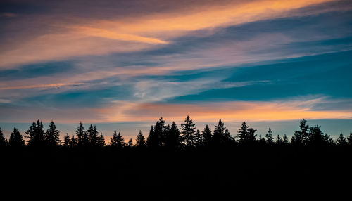 Silhouette trees and plants against sky during sunset