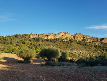 Scenic view of landscape against blue sky