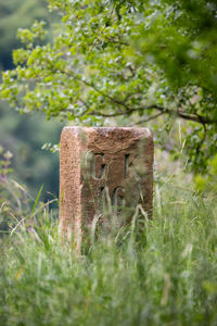 Cross on stone in cemetery