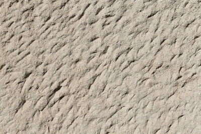 Close-up view of textured surface