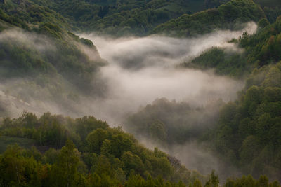 Mountain landscape in the spring season.