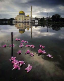 View of pink flowers in lake