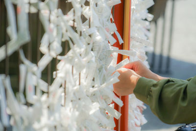 Close-up of hand holding white flowers