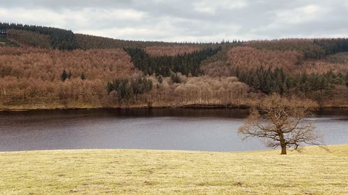 Scenic view of lake against sky