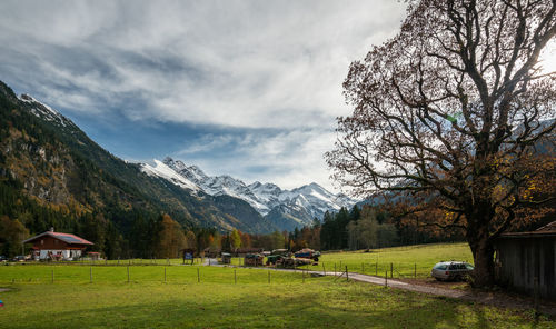 Scenic view of trees and houses against sky