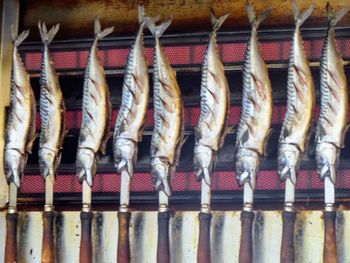 Close-up of fish hanging on barbecue grill